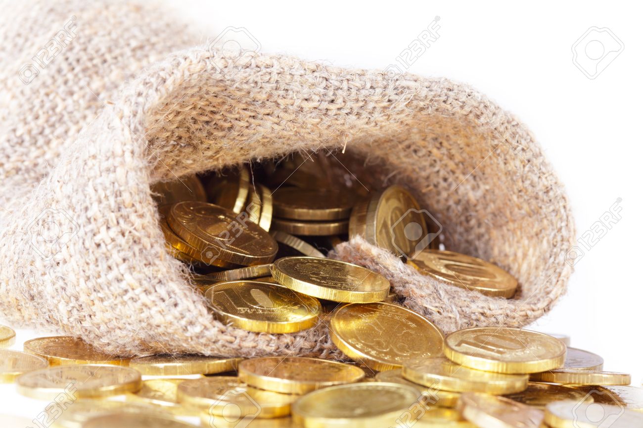bag with coins