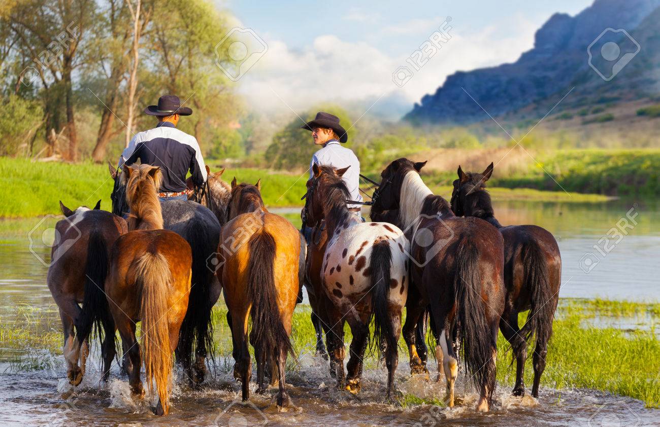 Dos Vaqueros En Caballos Vadear El Río Fotos, Retratos, Imágenes Y Fotografía Libres De Image