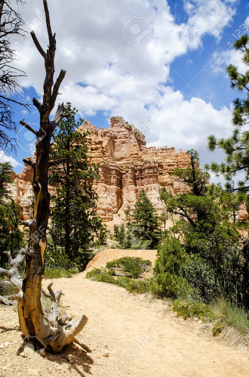 ブライス キャニオン国立公園 アメリカ フェアリーランド ループ トレイル の写真素材 画像素材 Image