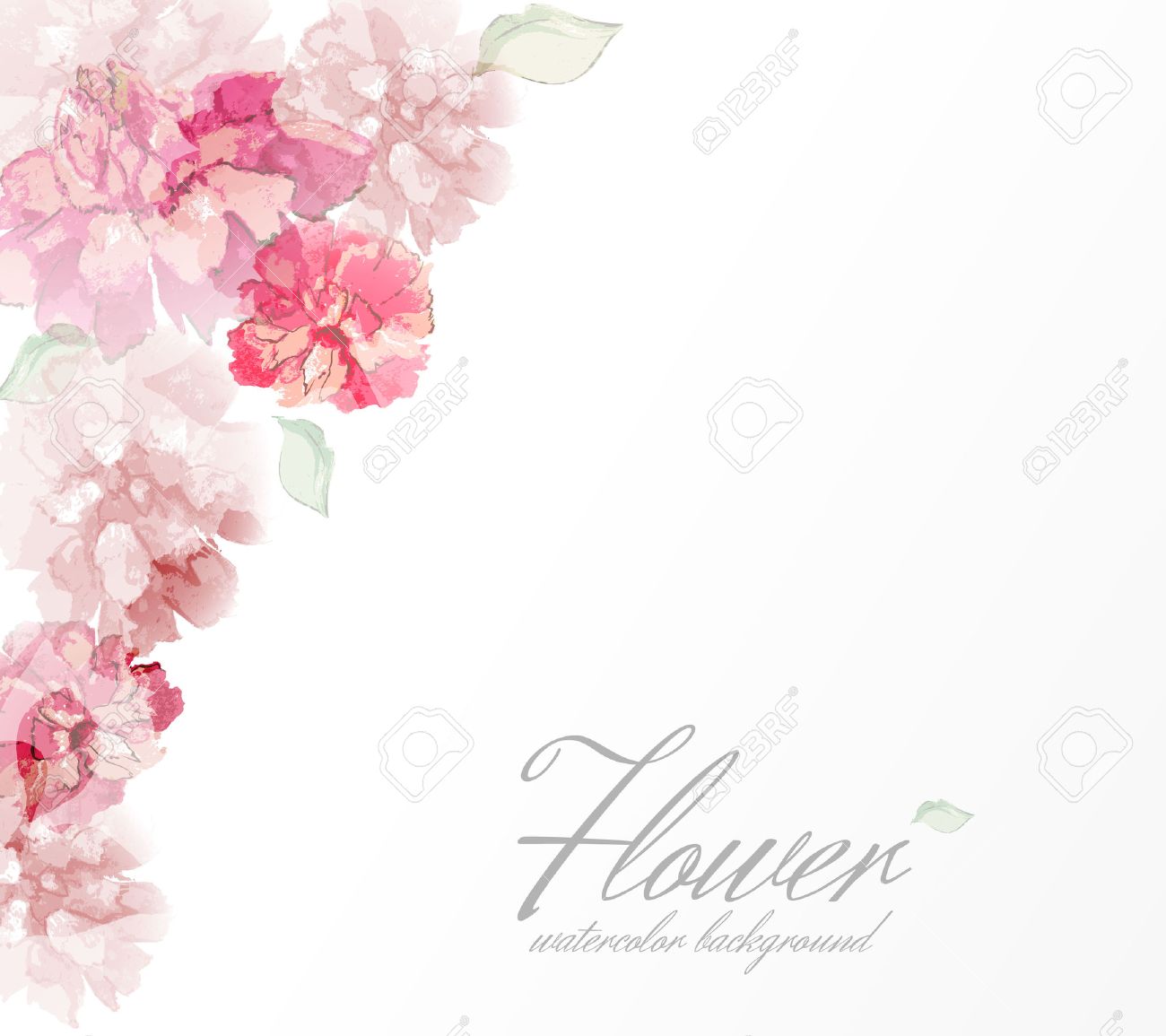 Watercolor Flowers Peonies With Transparent Elements Royalty Free