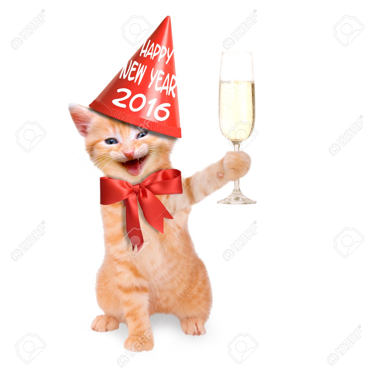 シャンパンとパーティー帽子ハッピー新年 16年のガラスと笑い猫 の写真素材 画像素材 Image シャンパンとパーティー帽子ハッピー新年 16年のガラスと笑い猫 の写真素材 画像素材 Image