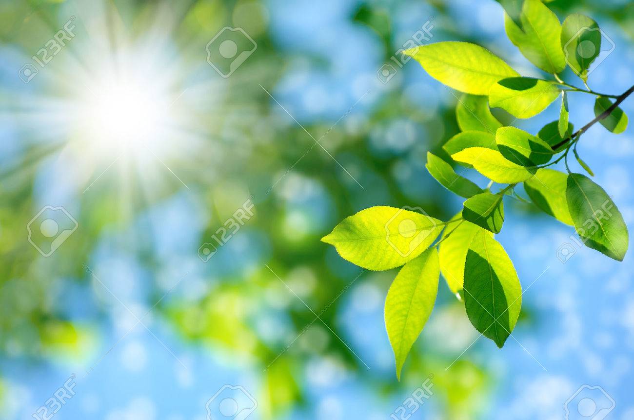 明るい春の自然の背景 の写真素材 画像素材 Image