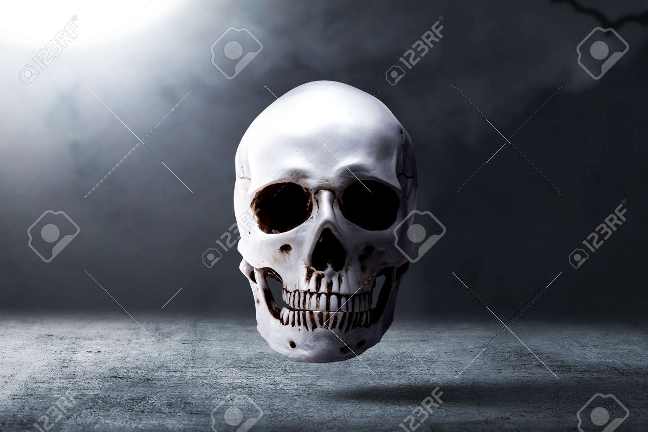 etiam-dictum-ipsum-a-felis