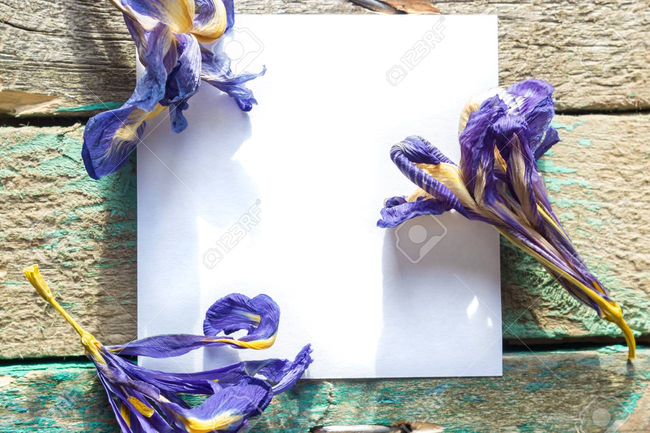 Livre Blanc Sur Le Fond En Bois Avec Des Fleurs Séchées Iris