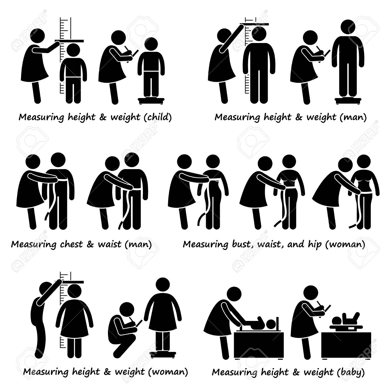 Mesure Du Corps Taille Poids Et Taille Pour Bebe Enfant Femme Homme Et Clip Art Libres De Droits Vecteurs Et Illustration Image