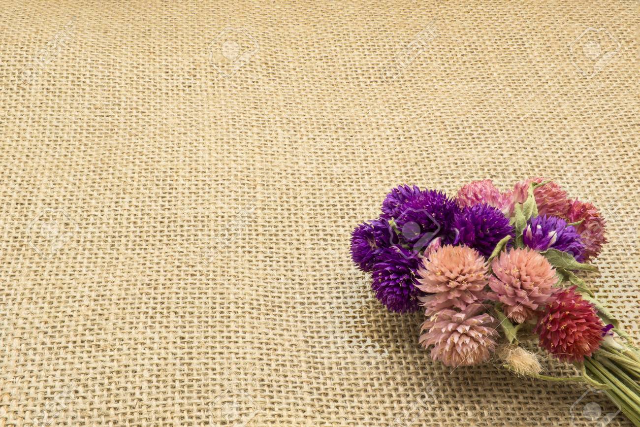 黄麻布の背景に複数の色ドライフラワー の写真素材 画像素材 Image