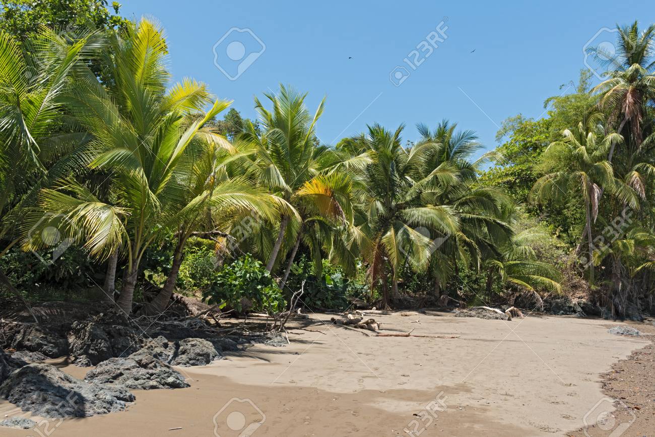 Belle Plage à Drake Bay Sur Locéan Pacifique Au Costa Rica