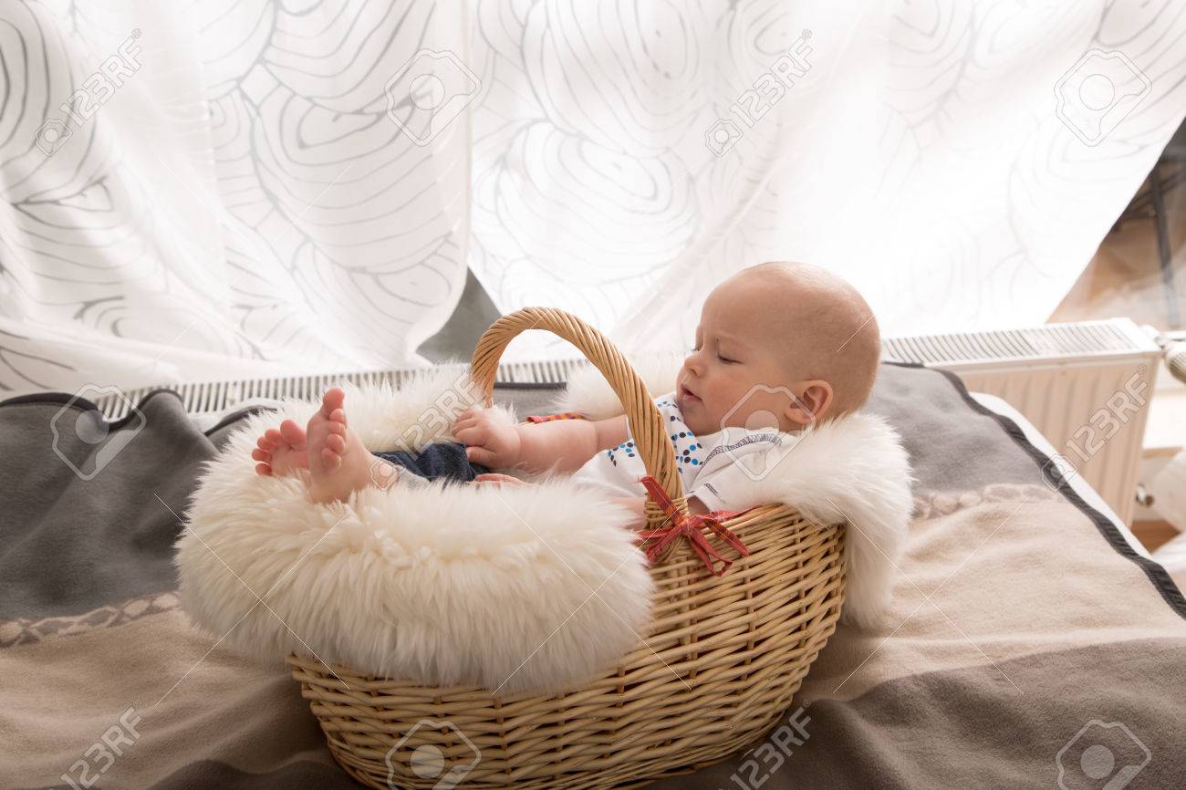 newborn baby in the basket stock photo picture and royalty free
