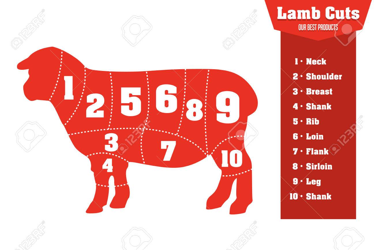 Lamb Cuts Infographic Set Of Meat Parts Illustration Royalty Free Cliparts Vectors And Stock Illustration Image 52500172