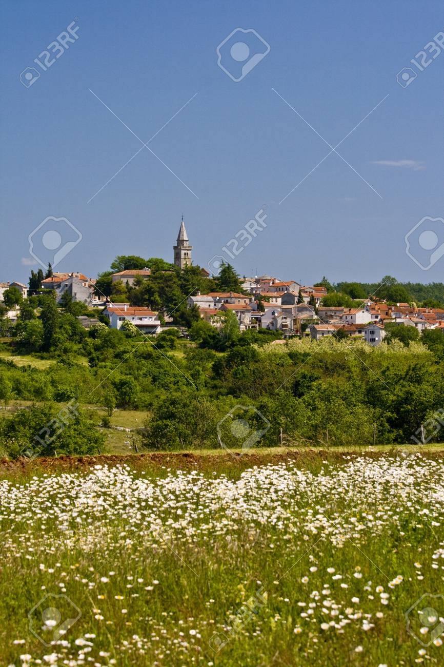 Vista Alla Città Di Gimino E Il Prato Di Fiori Foto Royalty Free ... Vista Alla Città Di Gimino E Il Prato Di Fiori Foto Royalty Free ...