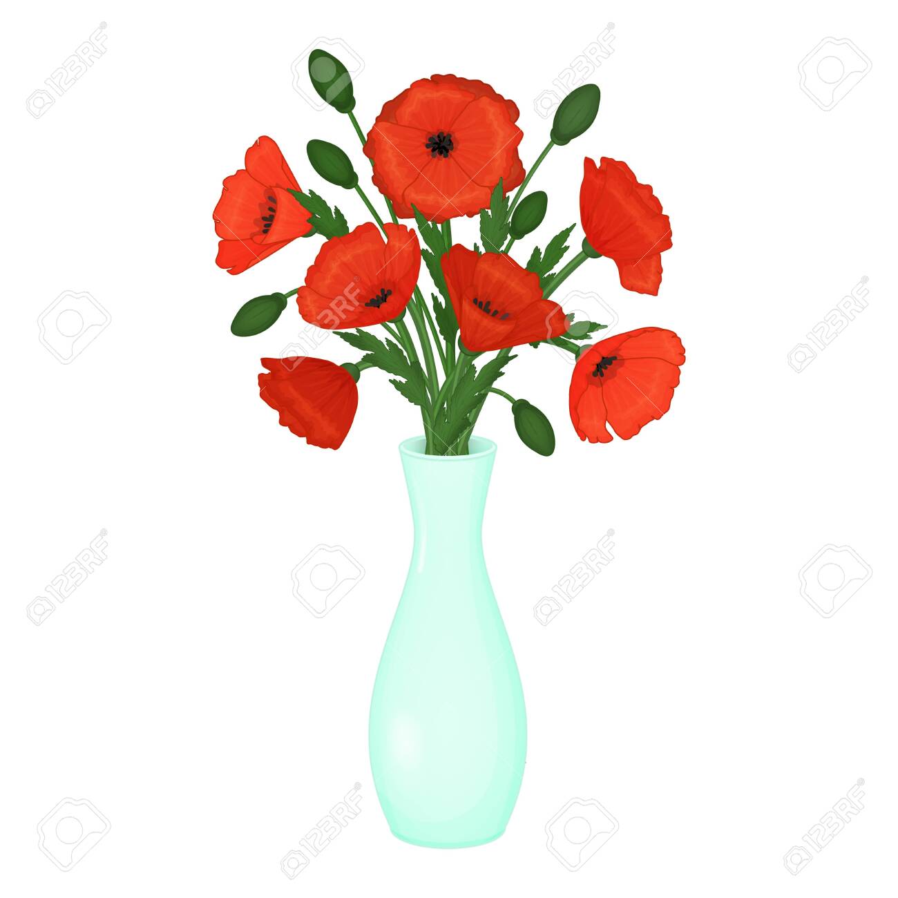 Red Poppies In A Vase Flowers On A White Background Isolated Royalty Free Cliparts Vectors And Stock Illustration Image
