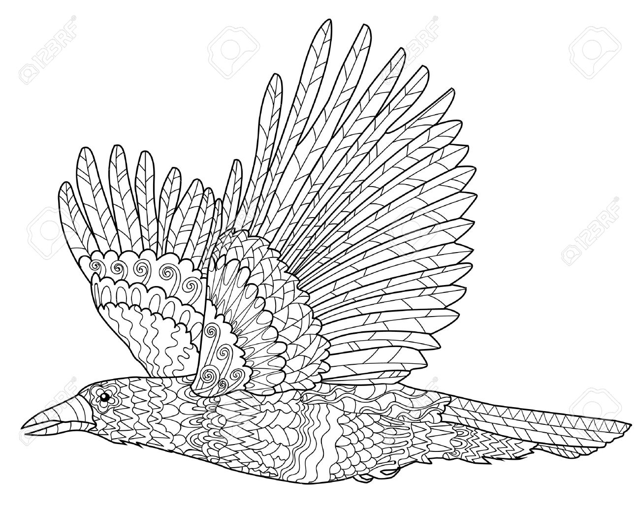 Voler Corbeau Avec Des Détails élevés Adulte Coloriages Anti Stress Avec Corbeau Main Blanche Noir Dessiné Oiseau Doodle Dessinez Pour Le Tatouage