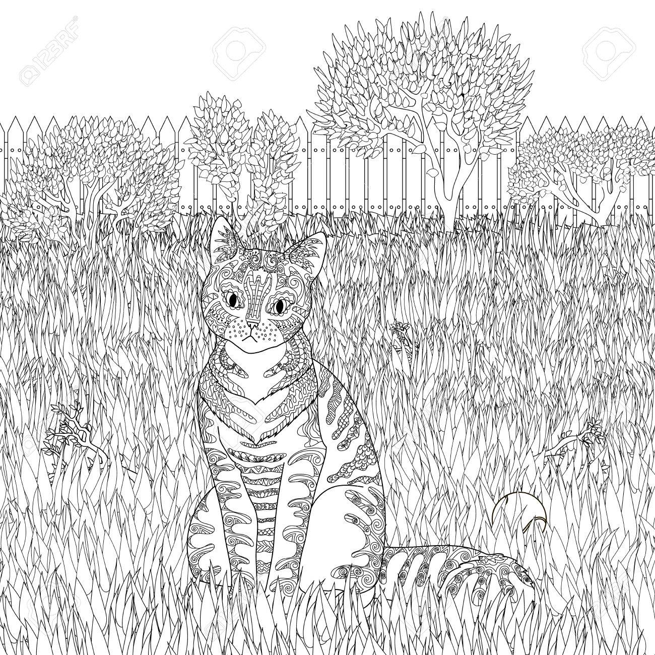 Haut Detail Modele Chat Sur Fond Detaillee Dans Le Style Adulte Coloriage Avec Animal De Compagnie Pour Antistress Art Therapie Modele Zendoodle Pour T Shirt Tatouage Poster Clip Art Libres De Droits Vecteurs