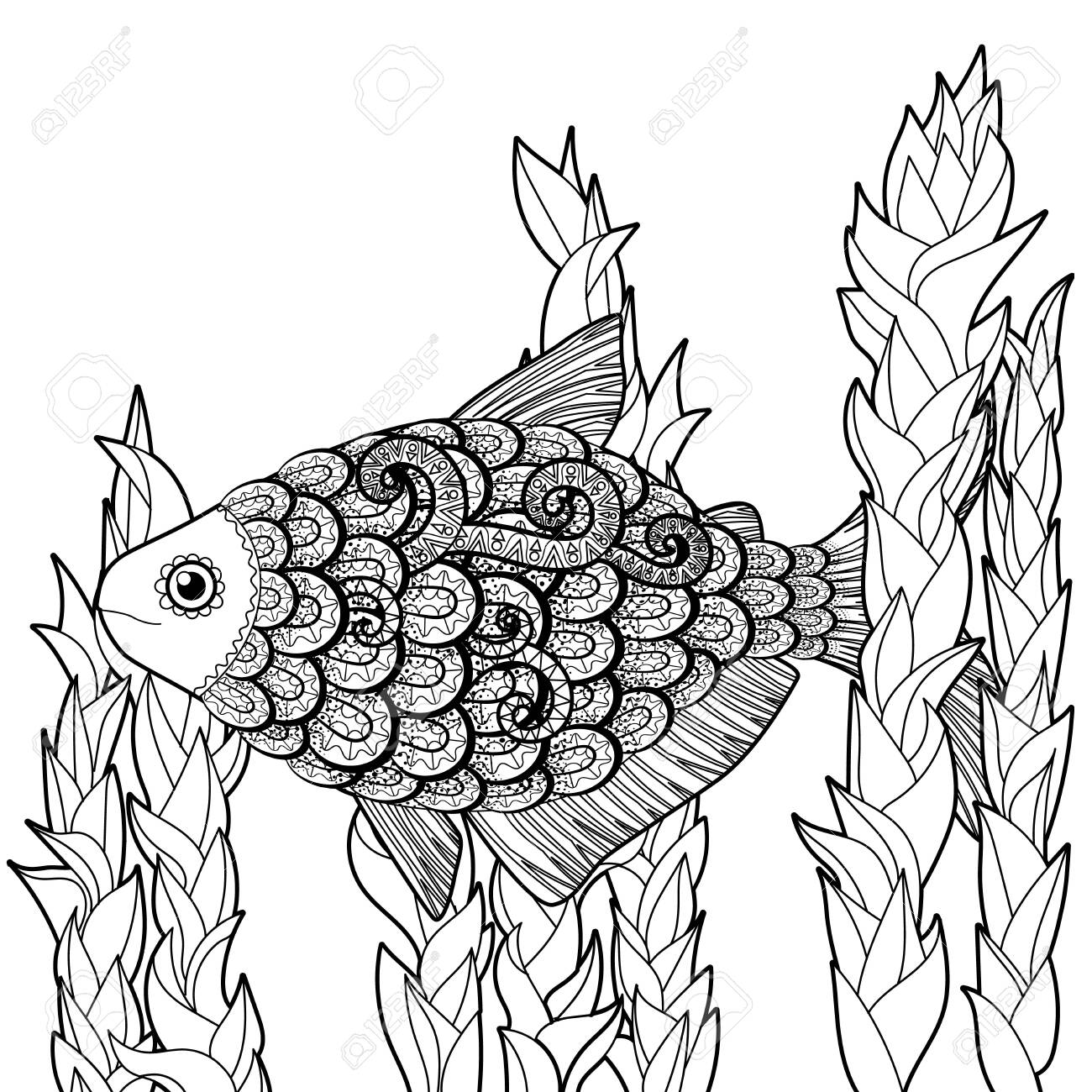 Bass Fish With High Details. Adult Antistress Coloring Page - Bass Fish With High Details. Adult Antistress Coloring Page