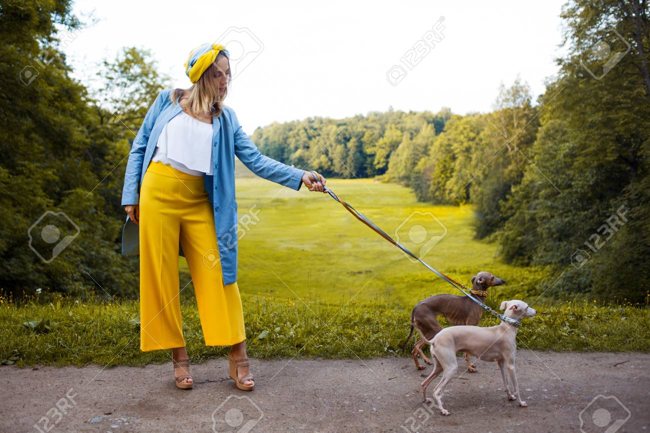 犬 ペットの世話を歩きます 犬種イタリアン グレーハウンド の写真素材 画像素材 Image