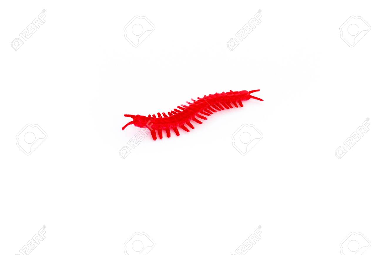 millipede toy