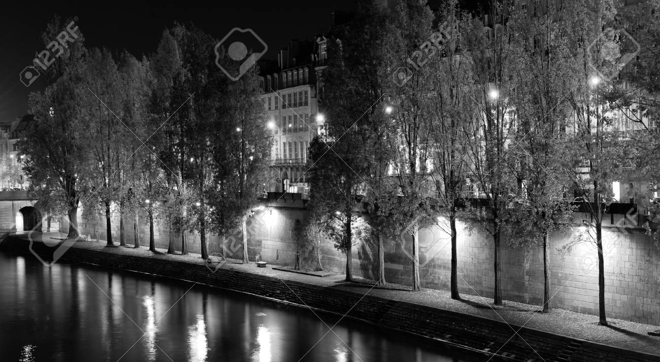 Black And White Photograph Of Trees Lining The Seine River In