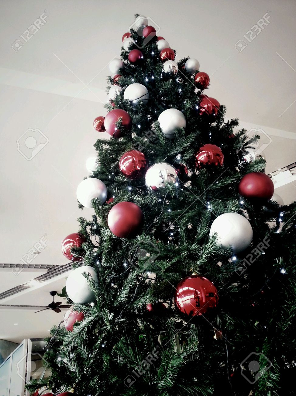 huge christmas tree with red and silver balls decorations stock photo 24347948 - Christmas Tree With Red And Silver Decorations huge christmas tree with red and silver balls decorations stock photo 24347948 - Christmas Tree With Red And Silver Decorations