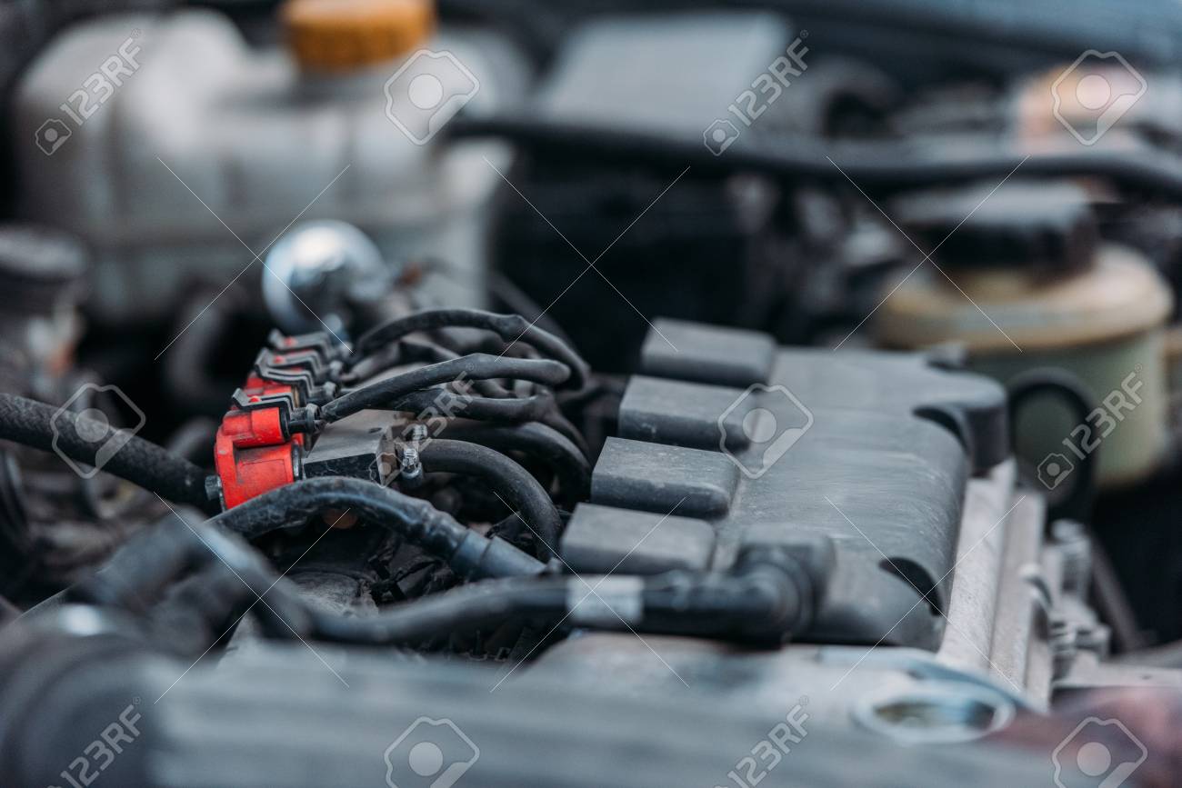 etiam-dictum-ipsum-a-felis