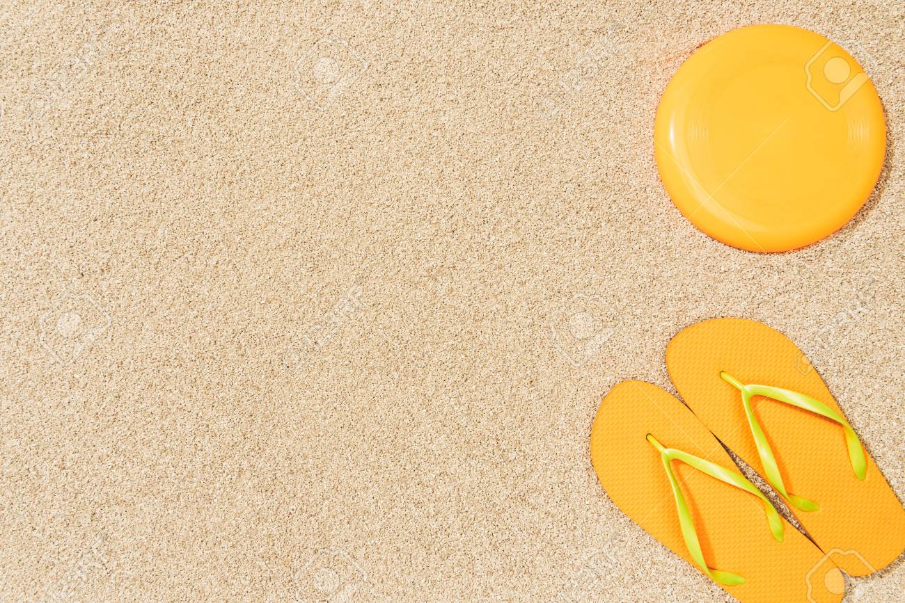 frisbee flip flops