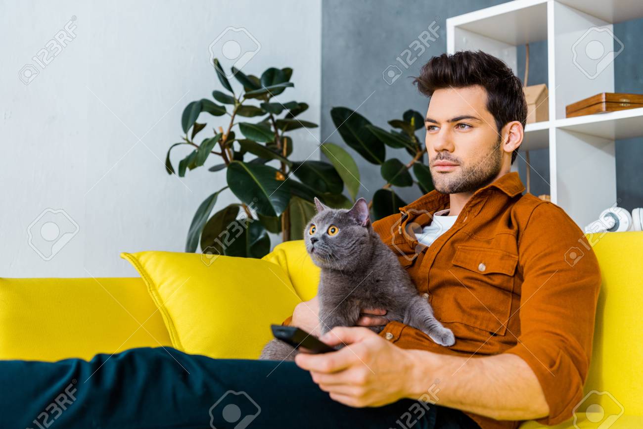 Handsome Man With Remote Control And Grey Cat Watching Tv At Home Stock Photo Picture And Royalty Free Image Image 118650257