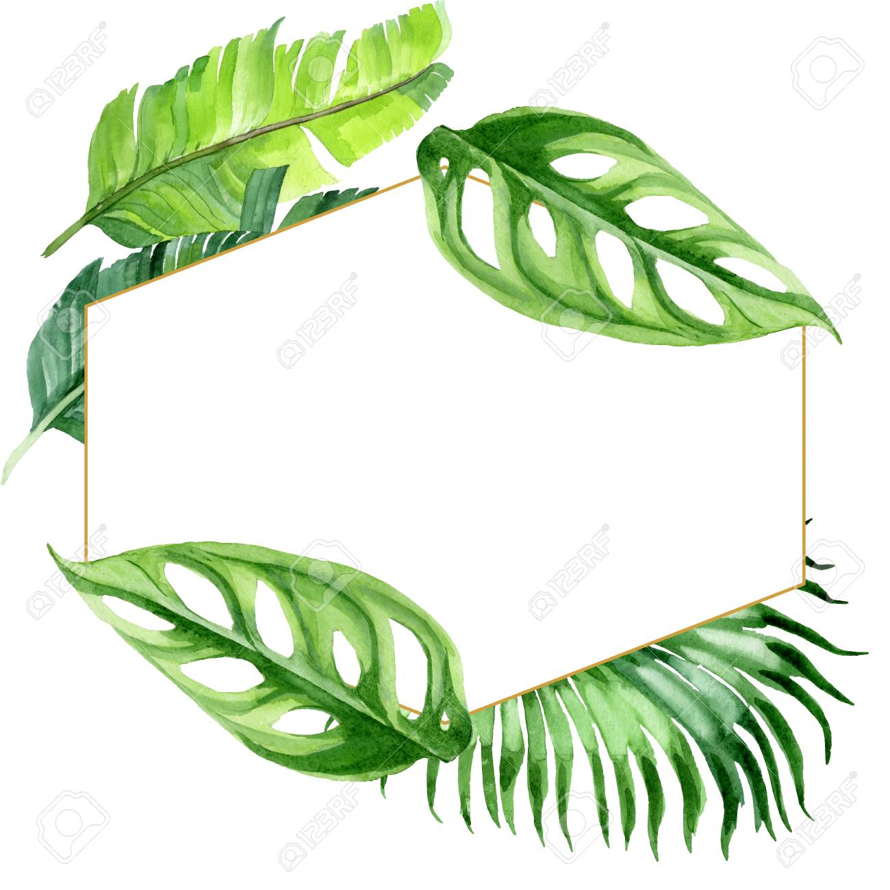 Orange 10x15 FT Backdrop Photographers,Fantasy Watercolor Backdrop with White Hibiscus Blossoms Leaves Aloha Jungle Background for Baby Birthday Party Wedding Vinyl Studio Props Photography Orange 10x15 FT Backdrop Photographers,Fantasy Watercolor Backdrop with White Hibiscus Blossoms Leaves Aloha Jungle Background for Baby Birthday Party Wedding Vinyl Studio Props Photography