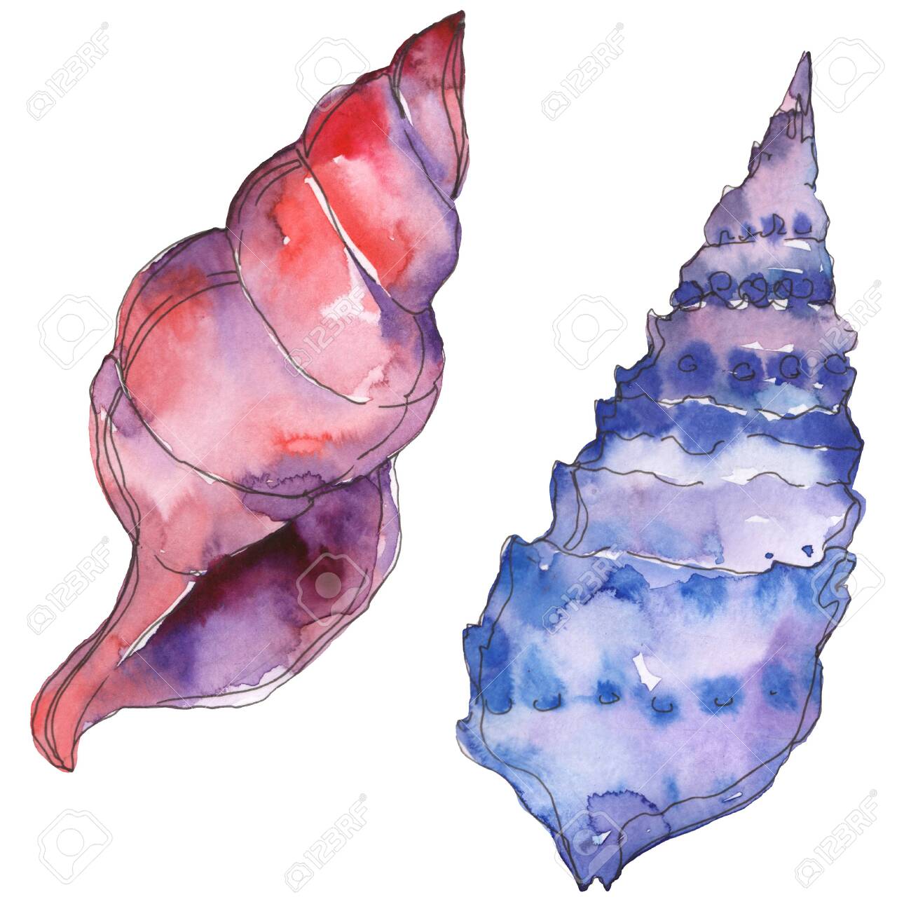stock illustration drawing watercolour