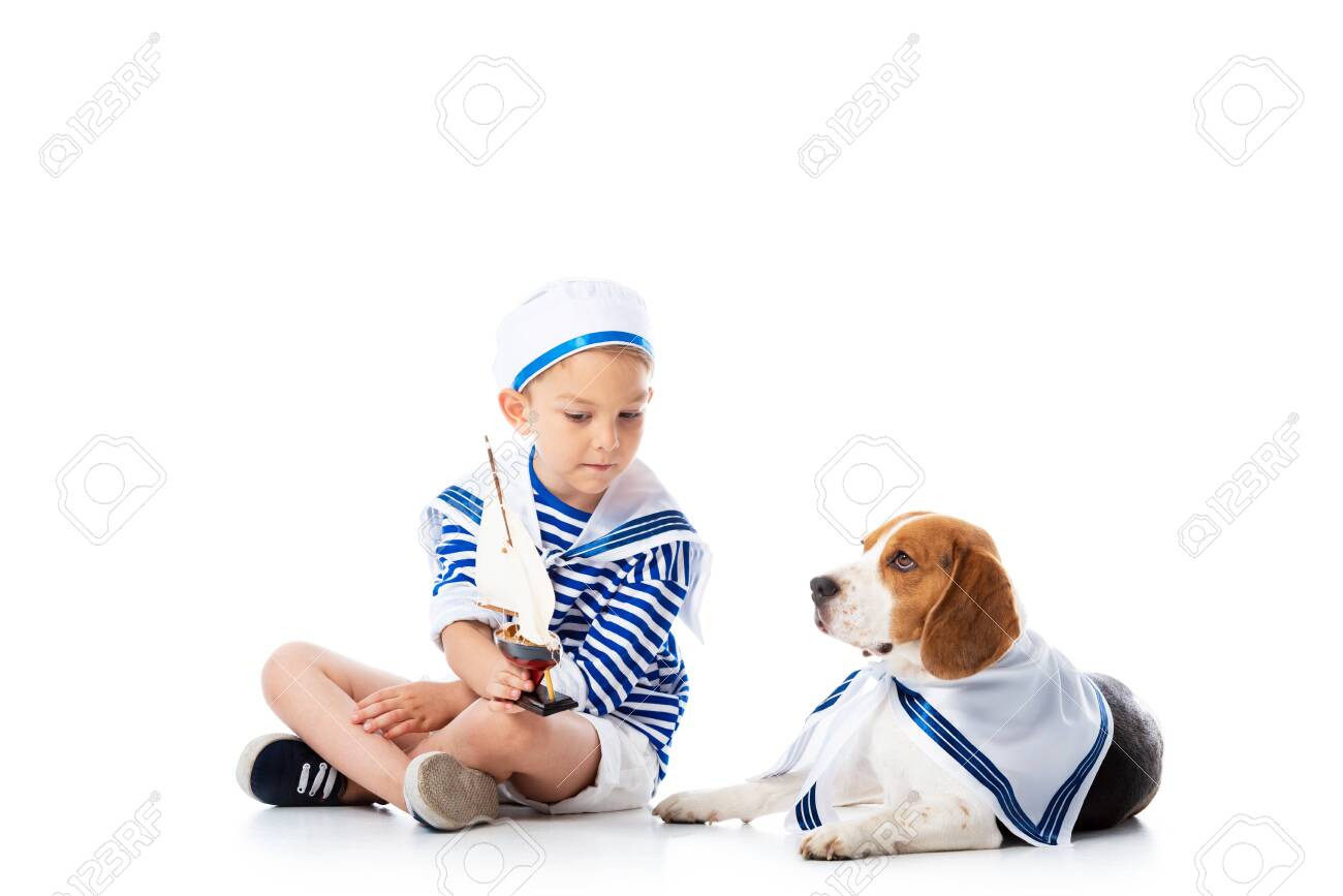 dog sailor suit