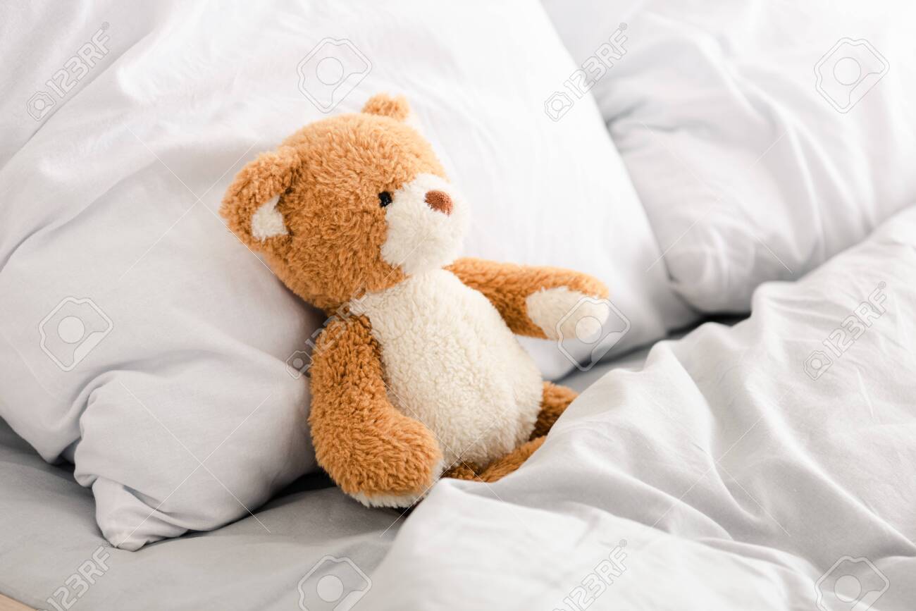 pillow teddy bear