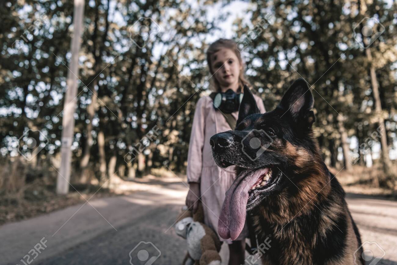 teddy bear german shepherd
