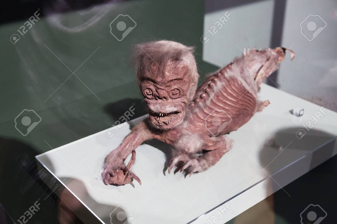 偽人魚の死体は猿および科学博物館魚から成っています。の写真素材・画像素材 Image 51681244