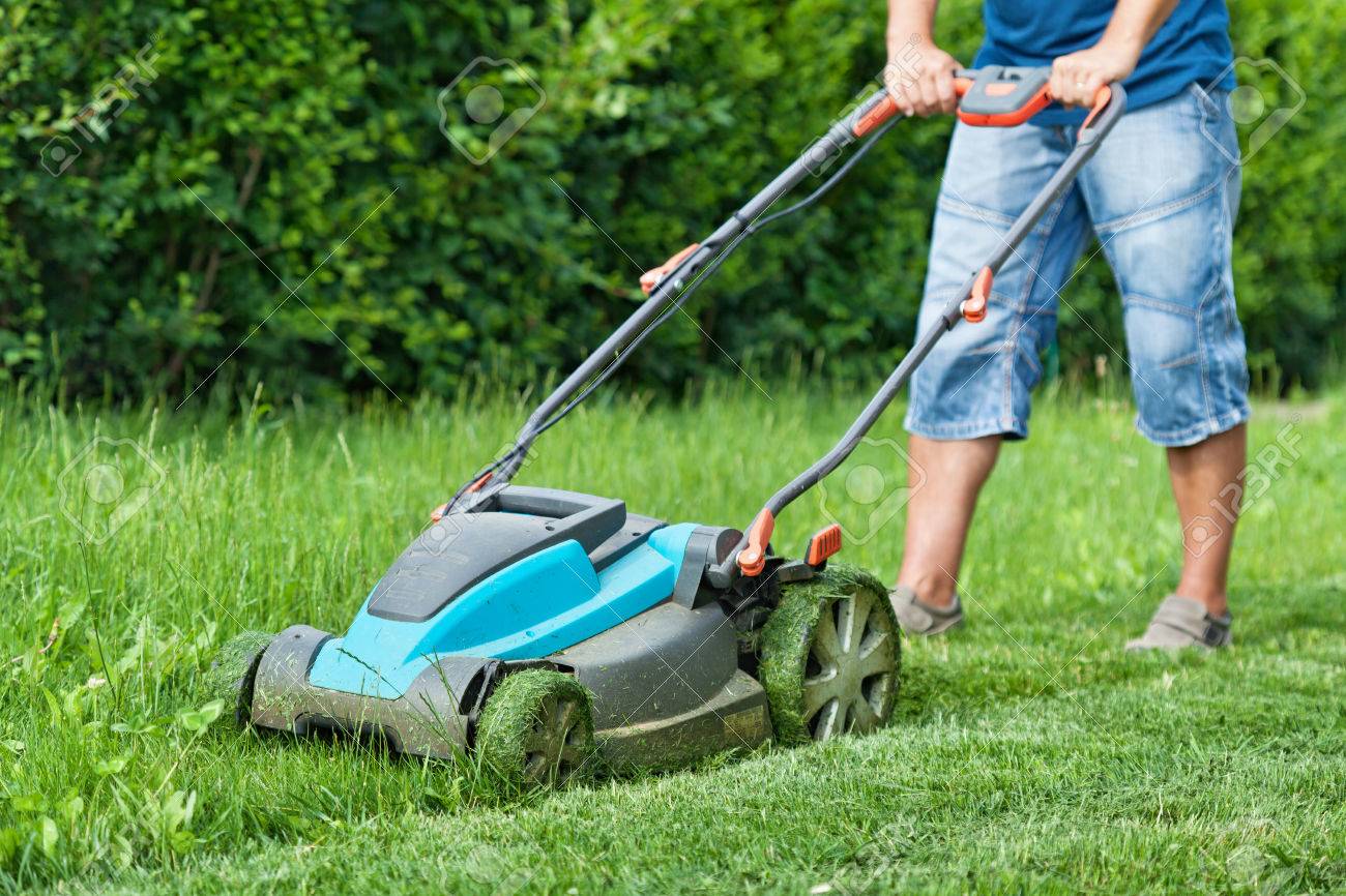 Man mowing the lawn with blue lawnmower in summertime - closeup - 54459014 Man mowing the lawn with blue lawnmower in summertime - closeup - 54459014