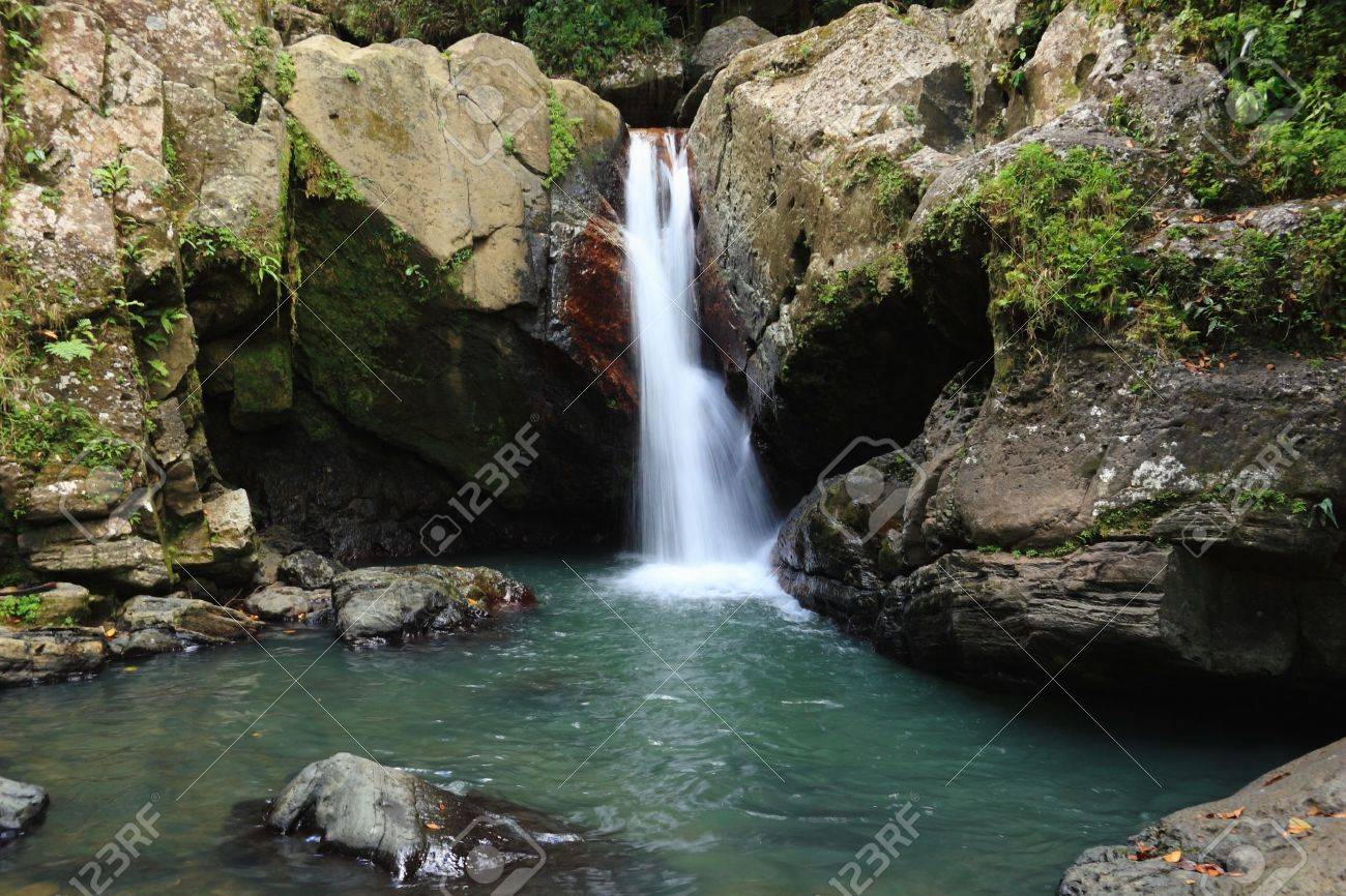 Falls and pool below La Mina Falls in the El Yunque rainforest in the Caribbean National Forest, Puerto Rico - 11773376 Falls and pool below La Mina Falls in the El Yunque rainforest in the Caribbean National Forest, Puerto Rico - 11773376
