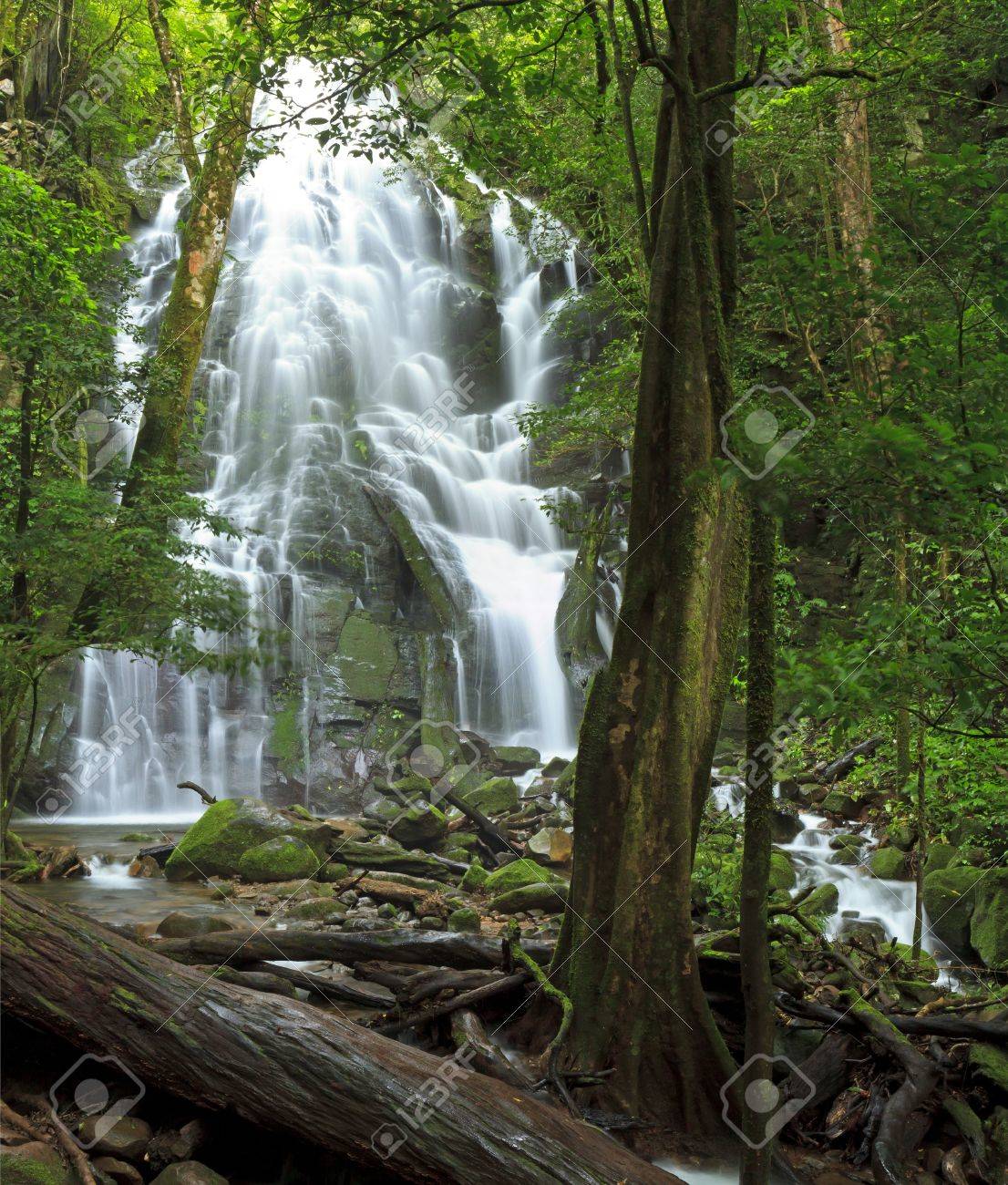 Seasonal waterfall seen through the forest at Rincn de la Vieja National Park - 14126581 Seasonal waterfall seen through the forest at Rincn de la Vieja National Park - 14126581
