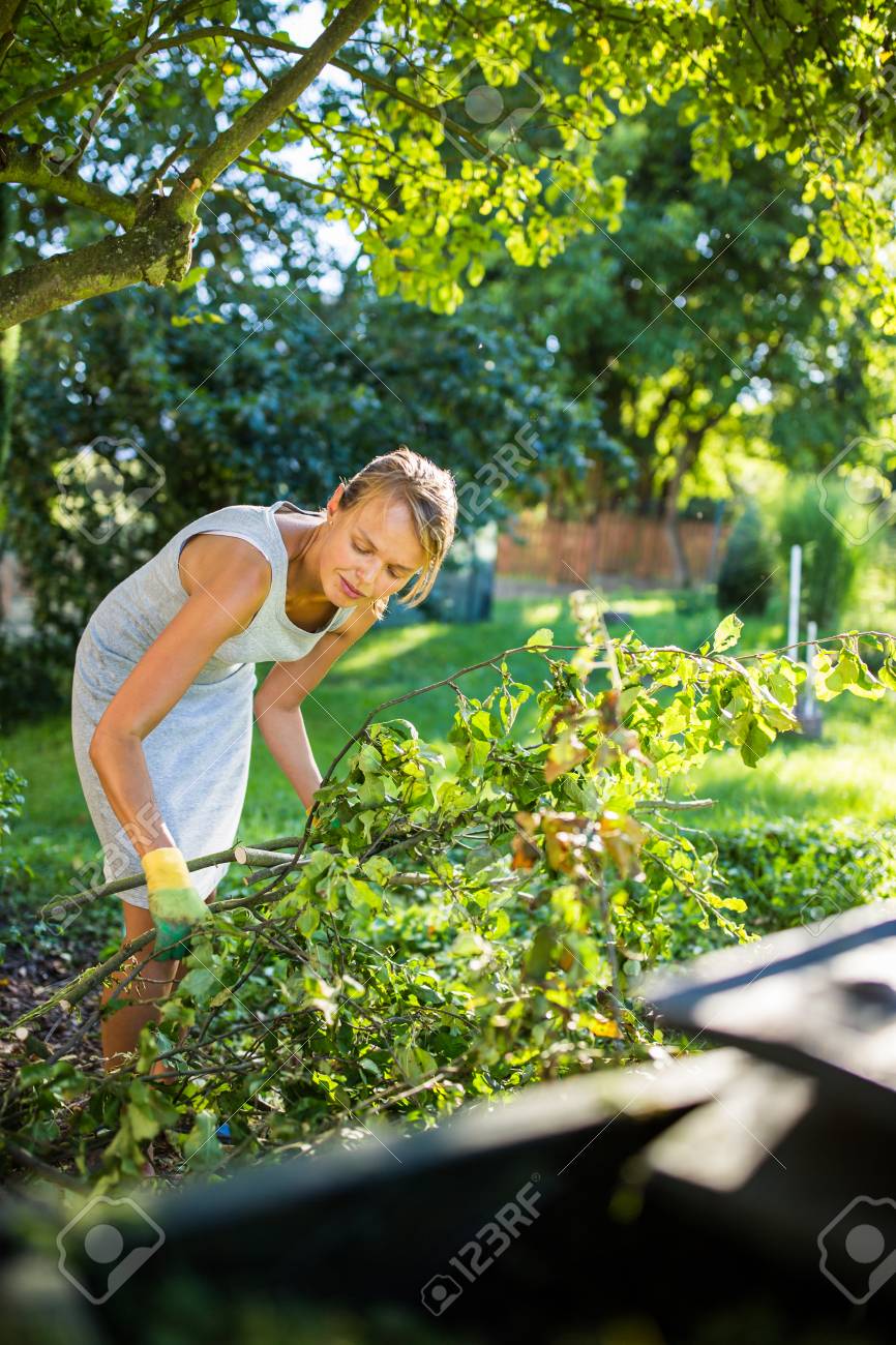 かなり 若い女性彼女の庭 切断枝の園芸 果樹園の冬の準備 の写真素材 画像素材 Image
