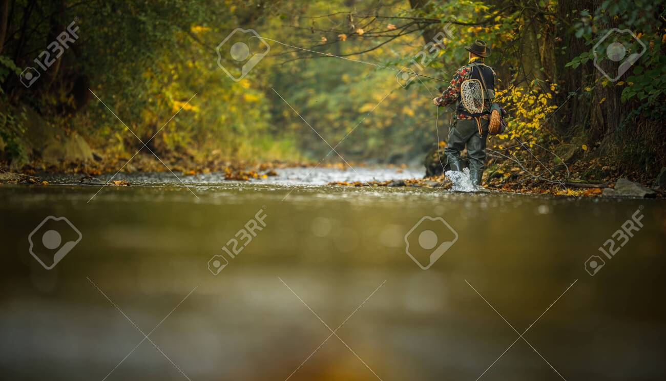 Fly fisherman working on line and fishing rod while fly fishing on splendid mountain river for rainbow trout - 134139179 Fly fisherman working on line and fishing rod while fly fishing on splendid mountain river for rainbow trout - 134139179
