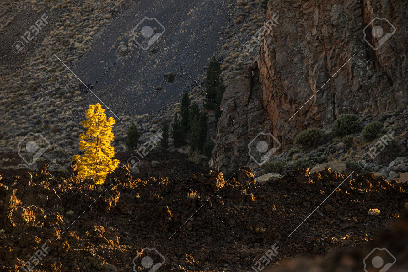 Colorful scenic landscape of moon rise in Tenerife national park of Teide. El Teide with moon rising by its side. - 171623479 Colorful scenic landscape of moon rise in Tenerife national park of Teide. El Teide with moon rising by its side. - 171623479