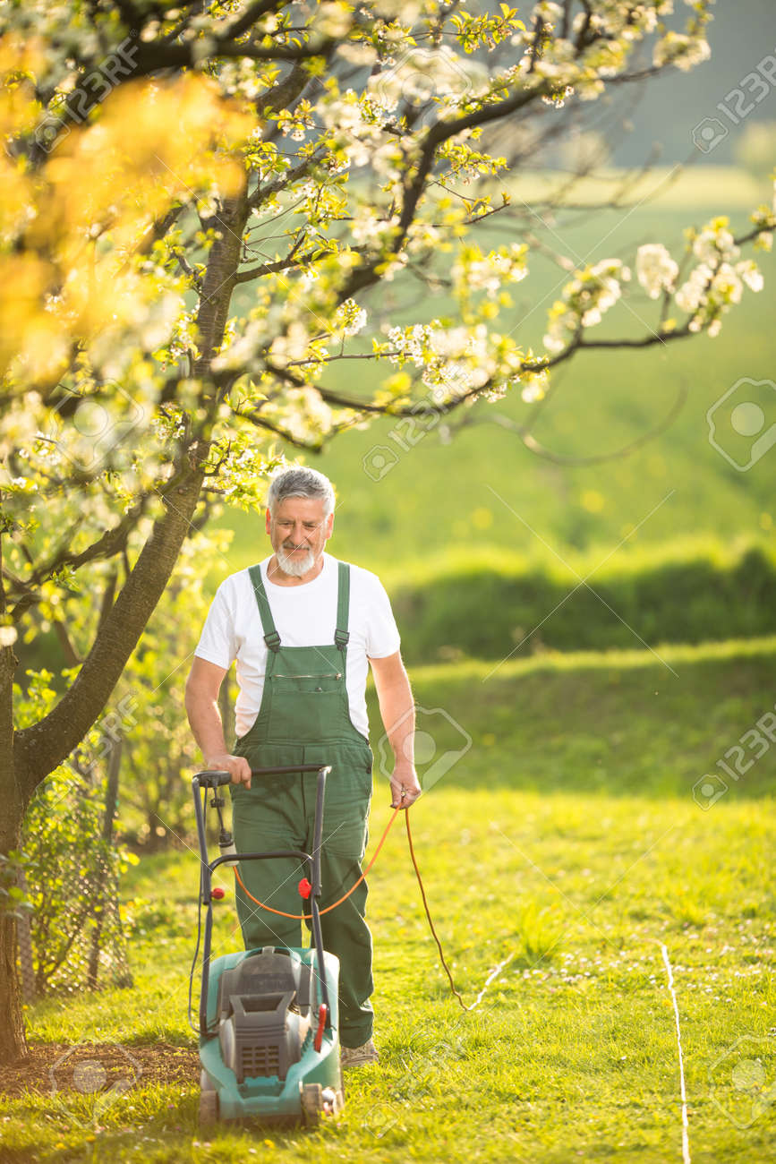 Portrait of senior man gardening, taking care of his lovely orchard, ejoying actively his retirement - 171623543 Portrait of senior man gardening, taking care of his lovely orchard, ejoying actively his retirement - 171623543