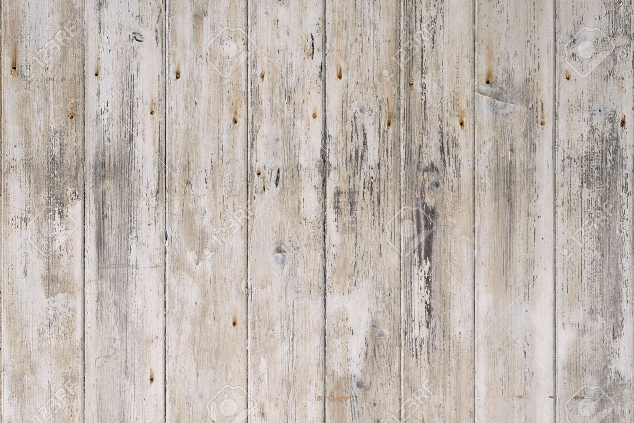 White rustic wood background. Vintage texture. - 165199439 White rustic wood background. Vintage texture. - 165199439
