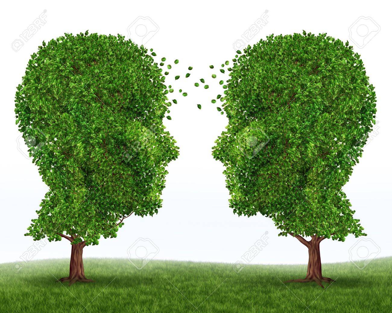 Two Trees
