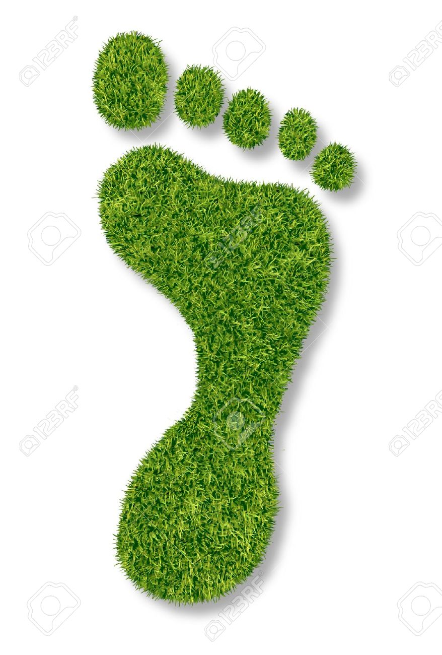 carbon footprint or gardening symbol with green grass natural