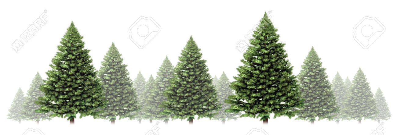 green christmas border