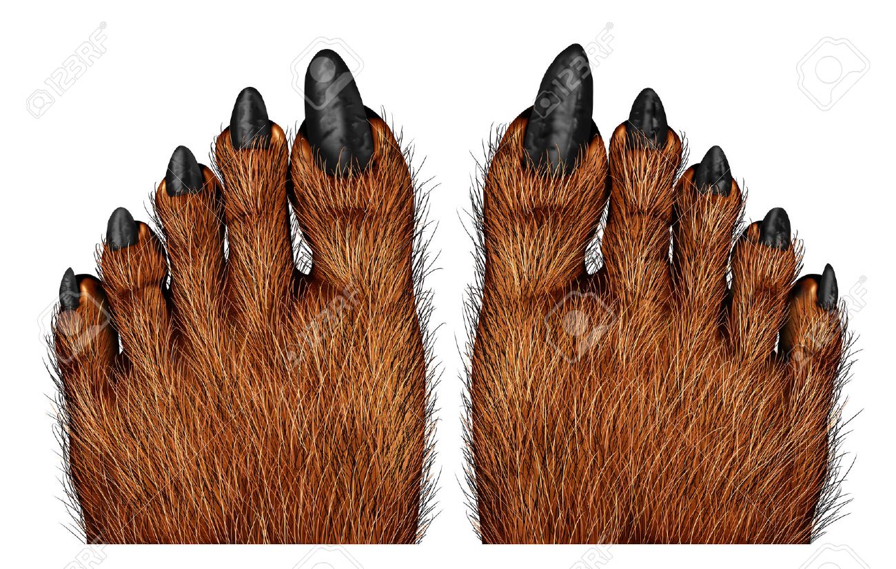 werewolf feet as a creepy creature for halloween or scary symbol