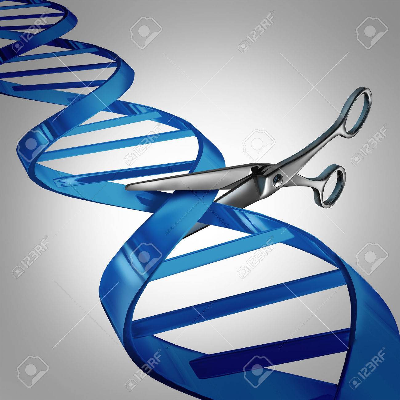 Gene editing health care concept as molecular scissors cutting a dna strand as a medical science and biology technology symbol for changing genetic material to help cure disease. - 44009926 Gene editing health care concept as molecular scissors cutting a dna strand as a medical science and biology technology symbol for changing genetic material to help cure disease. - 44009926