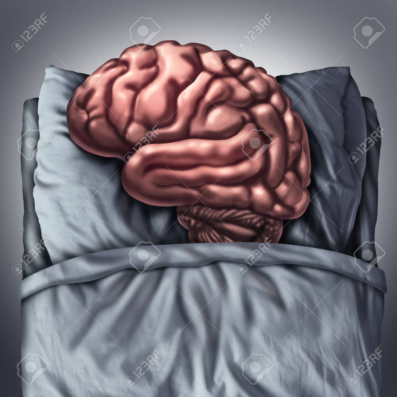 Brain Sleep Health Care And Medical Concept For Benefits Of