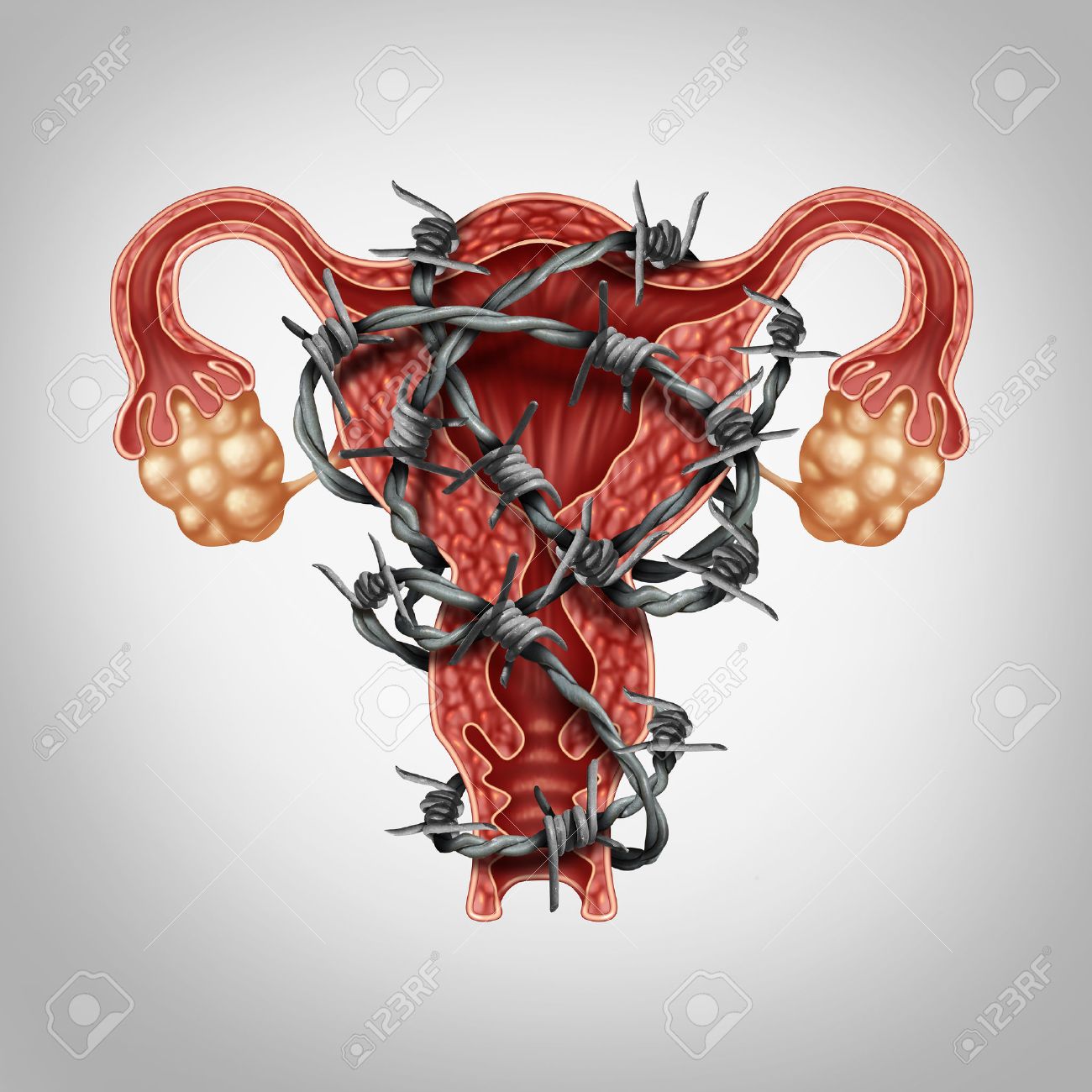 uterus and abdominal pain