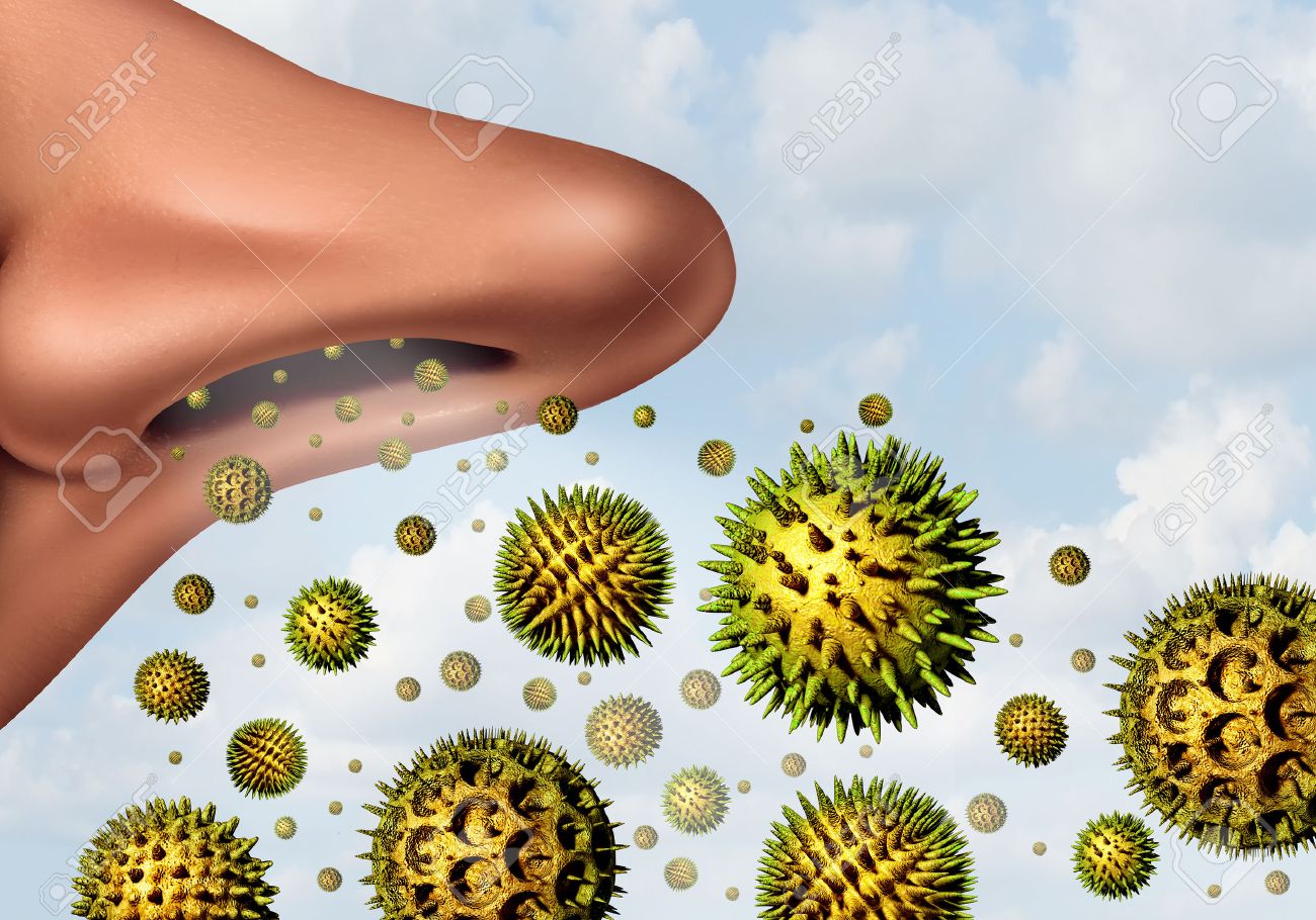 pollen allergy concept and hay fever allergies as a medical symbol