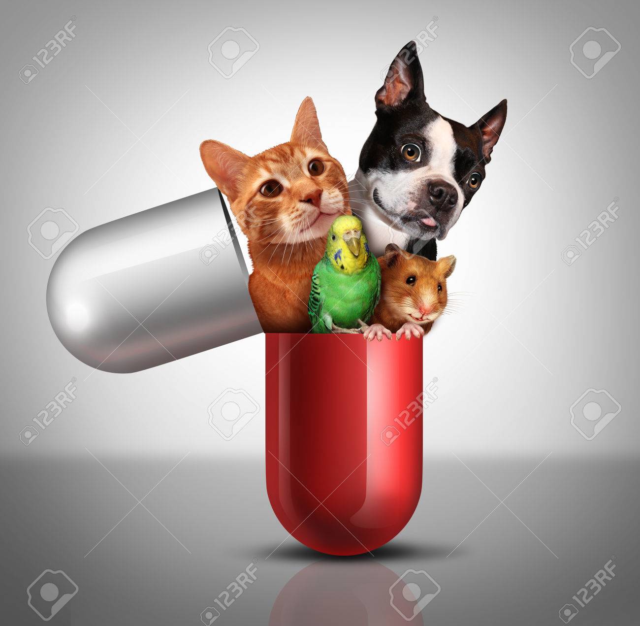 veterinarian medicine