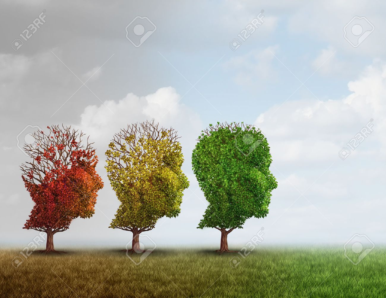 Dementia treatment and Alzheimer brain memory disease therapy concept as old trees recovering as a neurology or psychology cure metaphor with 3D illustration elements. - 66755841 Dementia treatment and Alzheimer brain memory disease therapy concept as old trees recovering as a neurology or psychology cure metaphor with 3D illustration elements. - 66755841