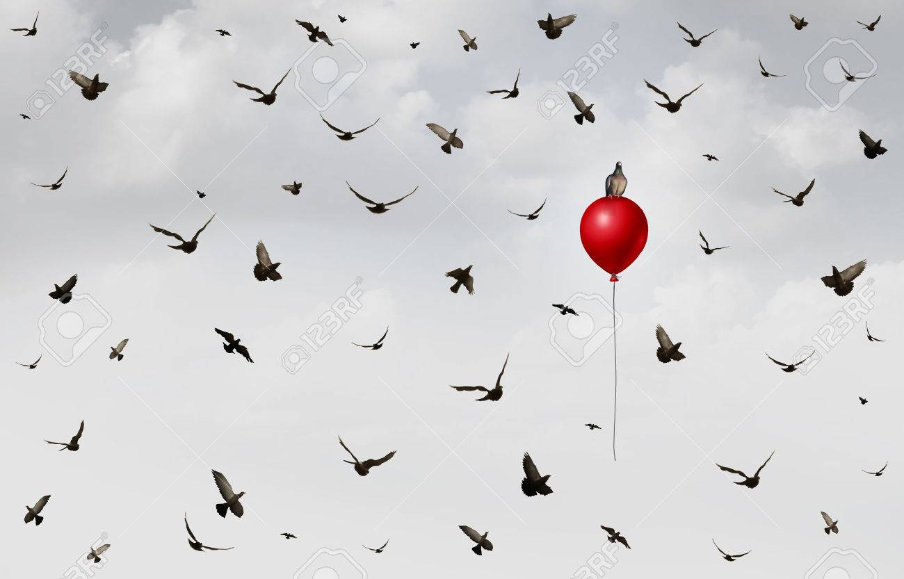 concept of innovation as a group of birds flying in confusion